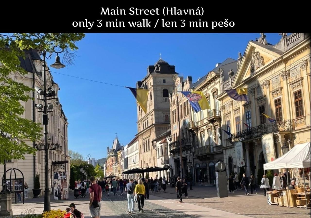 E2 Luxury Oldtown Apt - 2X Parking, Foodstore, Pcscreen, Netflix, Unlimited Music, Crib, Babychair, Fastwifi, Aircon Košice Buitenkant foto